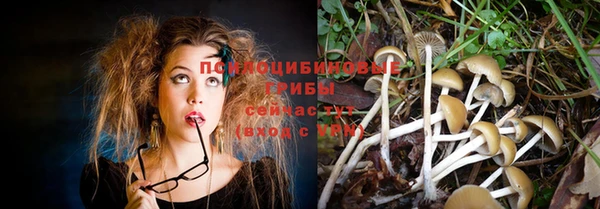 прущая мука Аркадак