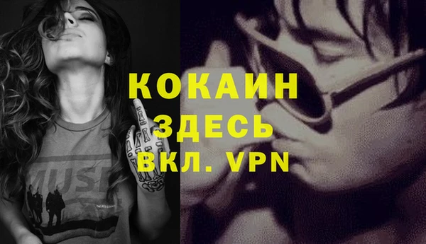 apvp Рославль