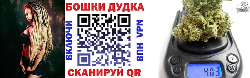 Бошки марихуана White Widow  продажа наркотиков  Славгород 